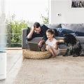 Relief Made Easy: Best Home HVAC Air Filters for Allergies